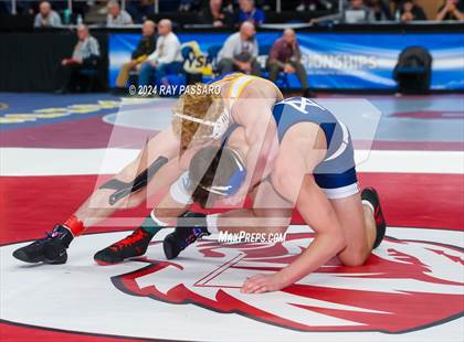 Thumbnail 2 in NYSPHSAA Wrestling Championships -Quarter Finals 131 lbs - 285 lbs photogallery.