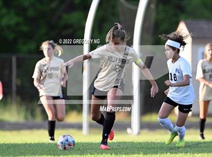 Thumbnail 2 in Panther Creek @ Holly Springs photogallery.