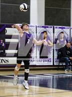 Photo from the gallery "Columbia City @ Leo"