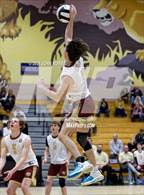 Photo from the gallery "Columbia City @ Leo"