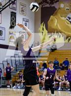 Photo from the gallery "Columbia City @ Leo"