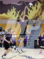 Photo from the gallery "Columbia City @ Leo"