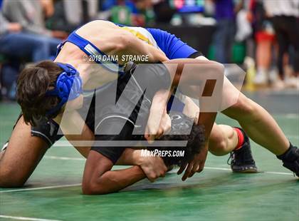 Thumbnail 2 in Knights Invitational photogallery.