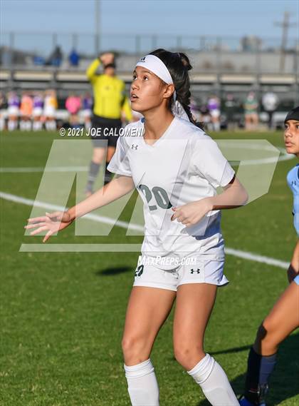 Thumbnail 1 in Reagan [Ronald] vs Johnson photogallery.