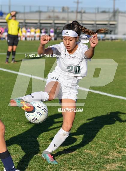 Thumbnail 3 in Reagan [Ronald] vs Johnson photogallery.