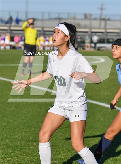 Thumbnail 2 in Reagan [Ronald] vs Johnson photogallery.