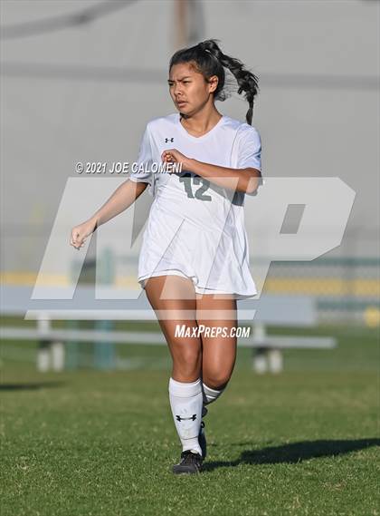Thumbnail 2 in Reagan [Ronald] vs Johnson photogallery.