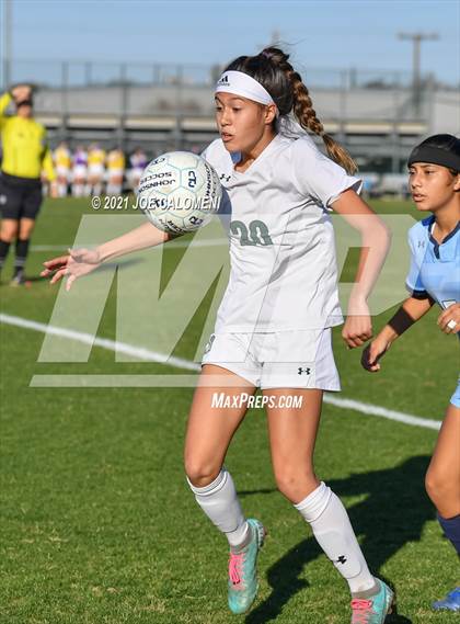 Thumbnail 2 in Reagan [Ronald] vs Johnson photogallery.