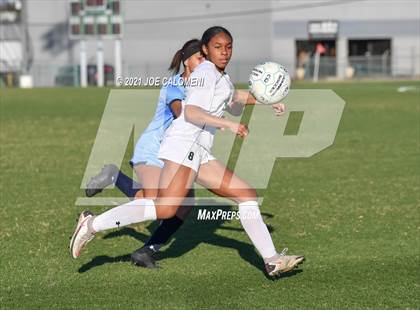Thumbnail 1 in Reagan [Ronald] vs Johnson photogallery.
