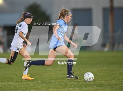 Thumbnail 3 in Reagan [Ronald] vs Johnson photogallery.
