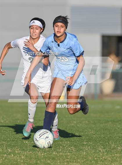 Thumbnail 1 in Reagan [Ronald] vs Johnson photogallery.
