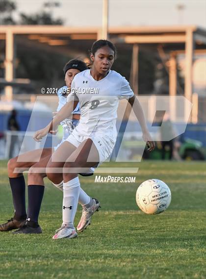 Thumbnail 1 in Reagan [Ronald] vs Johnson photogallery.