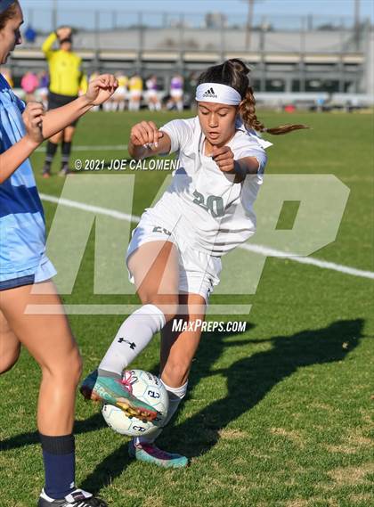 Thumbnail 1 in Reagan [Ronald] vs Johnson photogallery.