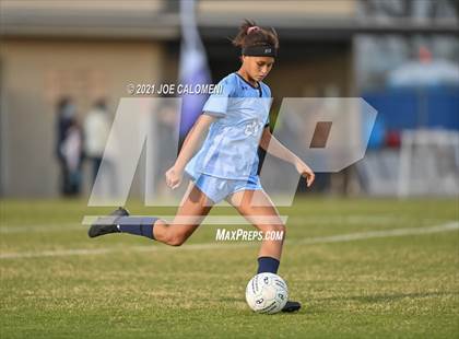 Thumbnail 1 in Reagan [Ronald] vs Johnson photogallery.