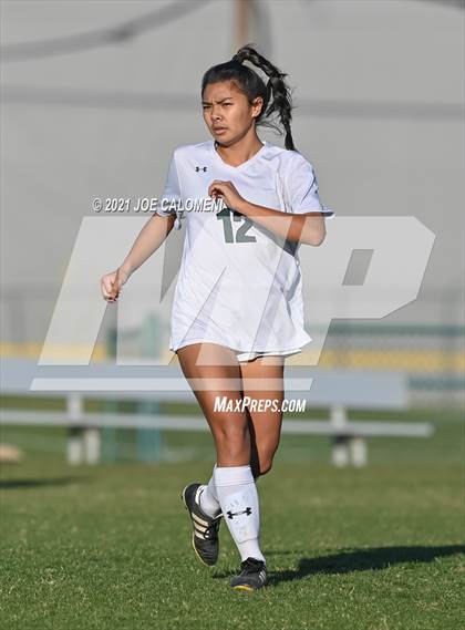 Thumbnail 1 in Reagan [Ronald] vs Johnson photogallery.