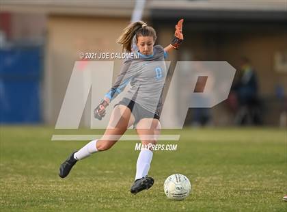Thumbnail 1 in Reagan [Ronald] vs Johnson photogallery.