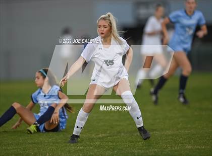 Thumbnail 2 in Reagan [Ronald] vs Johnson photogallery.