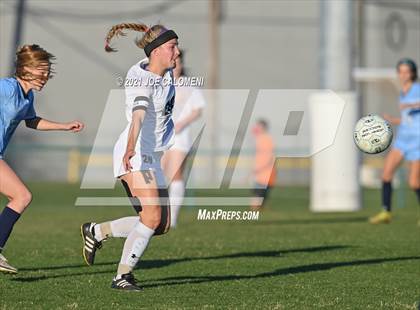 Thumbnail 2 in Reagan [Ronald] vs Johnson photogallery.