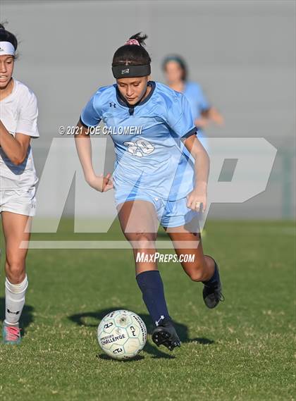 Thumbnail 1 in Reagan [Ronald] vs Johnson photogallery.