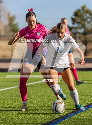 Vista Ridge @ Pine Creek