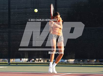 Thumbnail 3 in Round Rock Westwood vs Memorial (UIL 6A Team Tennis Final) photogallery.