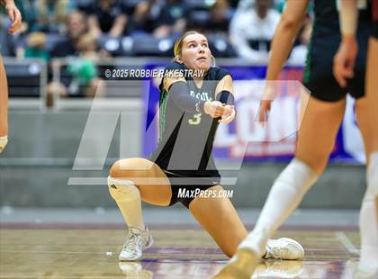 Thumbnail 3 in Southlake Carroll vs. Austin (UIL 6A D2 Volleyball Final) photogallery.