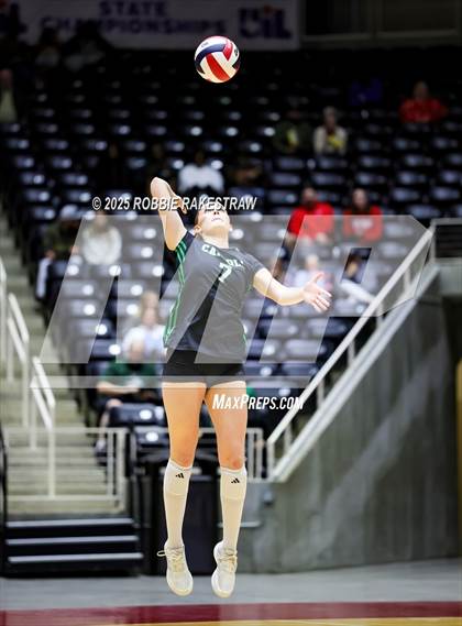 Thumbnail 3 in Southlake Carroll vs. Austin (UIL 6A D2 Volleyball Final) photogallery.