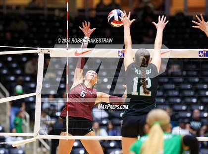 Thumbnail 2 in Southlake Carroll vs. Austin (UIL 6A D2 Volleyball Final) photogallery.