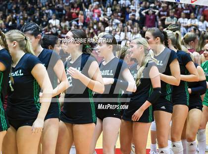 Thumbnail 1 in Southlake Carroll vs. Austin (UIL 6A D2 Volleyball Final) photogallery.