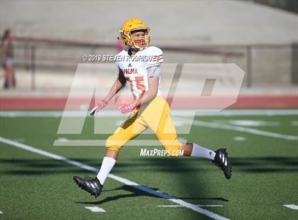Thumbnail 1 in Oakdale vs. Palma photogallery.