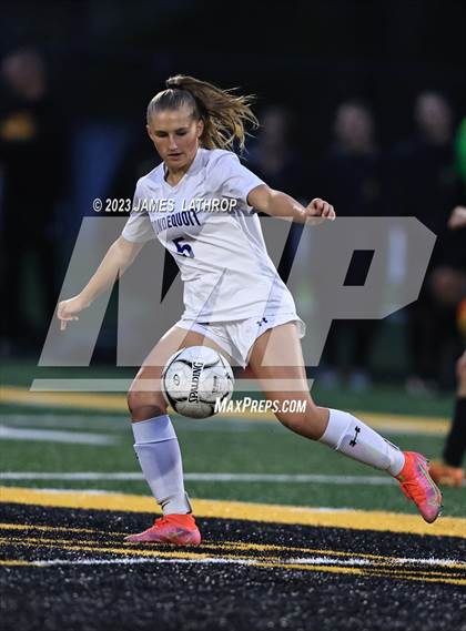 Thumbnail 3 in Irondequoit @ Greece Athena photogallery.