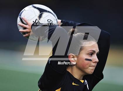 Thumbnail 1 in Irondequoit @ Greece Athena photogallery.