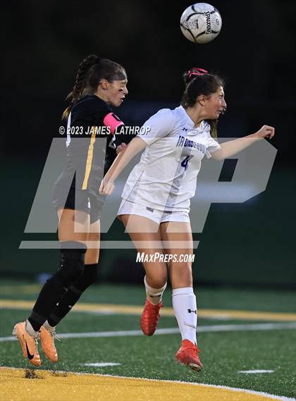 Thumbnail 2 in Irondequoit @ Greece Athena photogallery.