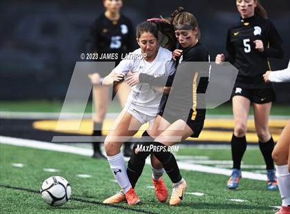 Thumbnail 2 in Irondequoit @ Greece Athena photogallery.