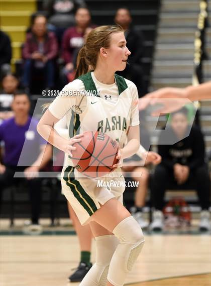 Thumbnail 2 in Hamilton @ Basha photogallery.
