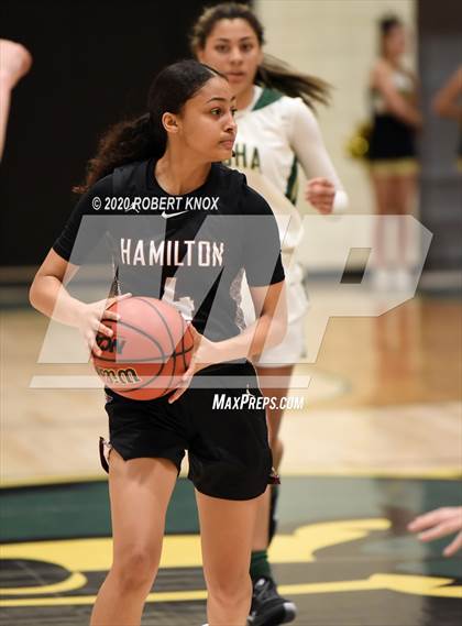 Thumbnail 3 in Hamilton @ Basha photogallery.