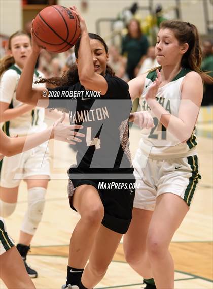 Thumbnail 2 in Hamilton @ Basha photogallery.