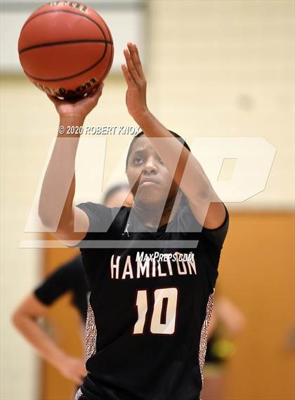 Thumbnail 1 in Hamilton @ Basha photogallery.