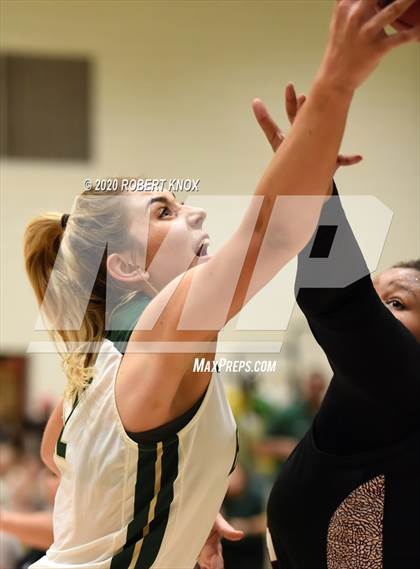 Thumbnail 2 in Hamilton @ Basha photogallery.
