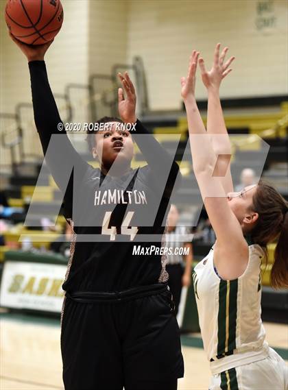 Thumbnail 3 in Hamilton @ Basha photogallery.