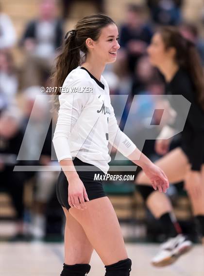 Thumbnail 3 in Archbishop Mitty vs. Menlo School (CIF CCS Open Div. Semifinal) photogallery.