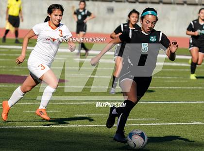 Thumbnail 3 in White vs. Molina photogallery.