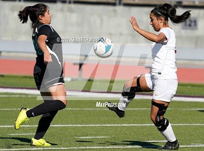 Thumbnail 1 in White vs. Molina photogallery.