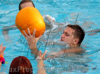 Thumbnail 3 in Rosemont @ Florin photogallery.