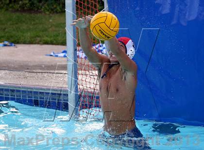 Thumbnail 3 in Rosemont @ Florin photogallery.