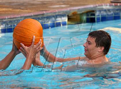 Thumbnail 2 in Rosemont @ Florin photogallery.