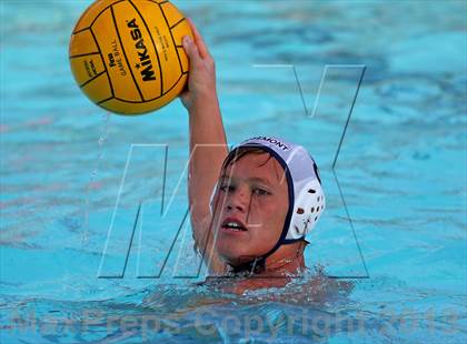 Thumbnail 1 in Rosemont @ Florin photogallery.