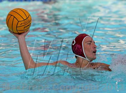 Thumbnail 3 in Rosemont @ Florin photogallery.