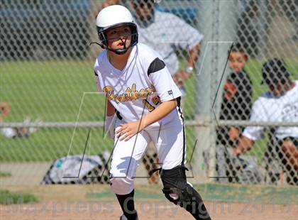 Thumbnail 1 in Sheldon vs Antioch (Queen of the Mountain) photogallery.