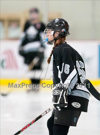 Thumbnail 1 in Benilde-St. Margaret's vs Sun Prairie Co-op (Schwan Cup) photogallery.